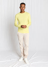 BS Jupiter Regular Fit Stickat - Lemonade