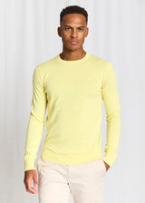 BS Jupiter Regular Fit Stickat - Lemonade