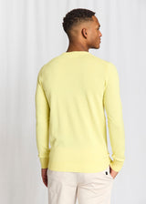 BS Jupiter Regular Fit Stickat - Lemonade