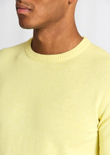 BS Jupiter Regular Fit Stickat - Lemonade