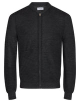 BS Dimitrov Regular Fit Sticka - Charcoal